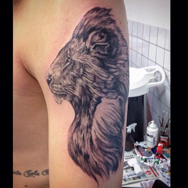 #lion#katt#lejon#tattoo#ink#tattoos#tatuering#gadd#stockholm#nicesthlm#blackandgray@piroz_tattoo